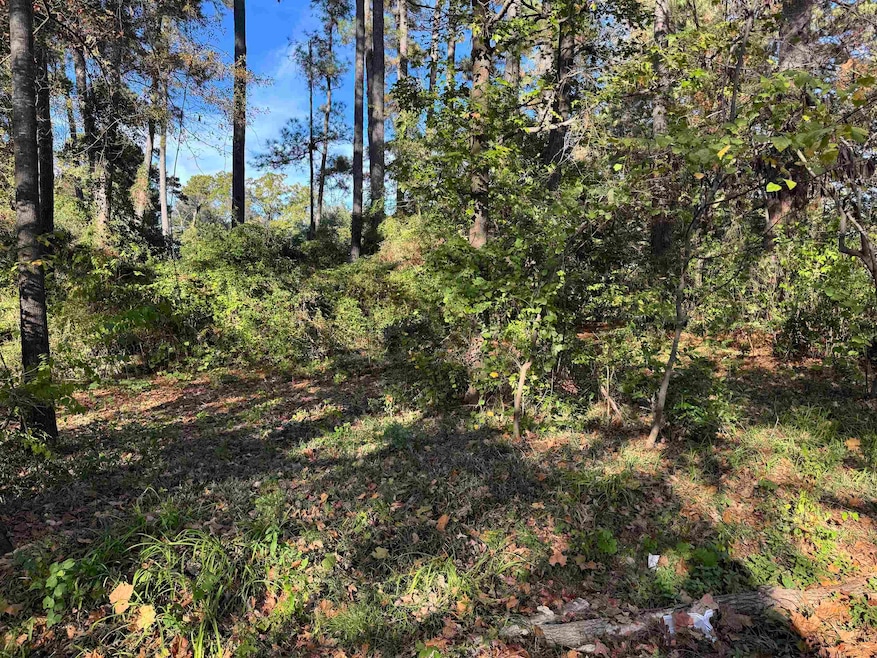 611 Russell St, Longview, TX 75601 - photo 1