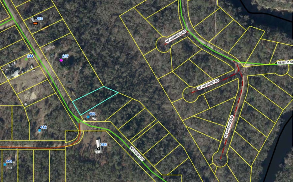 LOT46 NE Blue Springs Church Rd, Lee, FL 32059 - photo 1