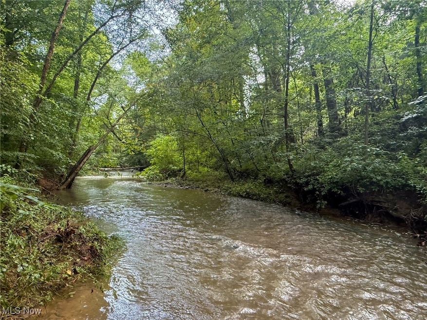 Water view featuring a forest
