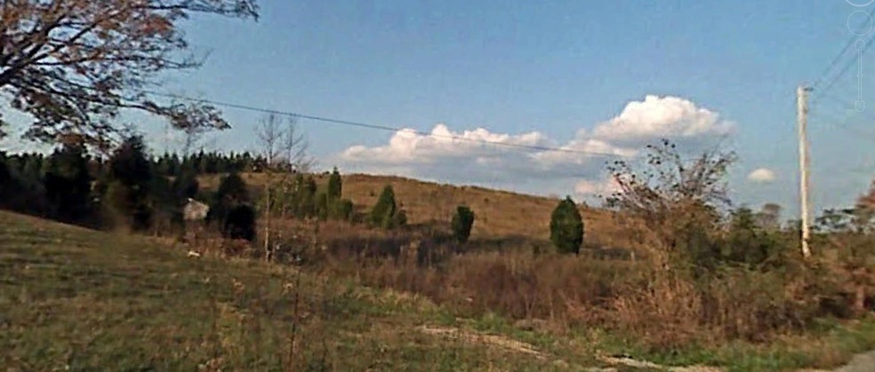 295903 - Photo 1
