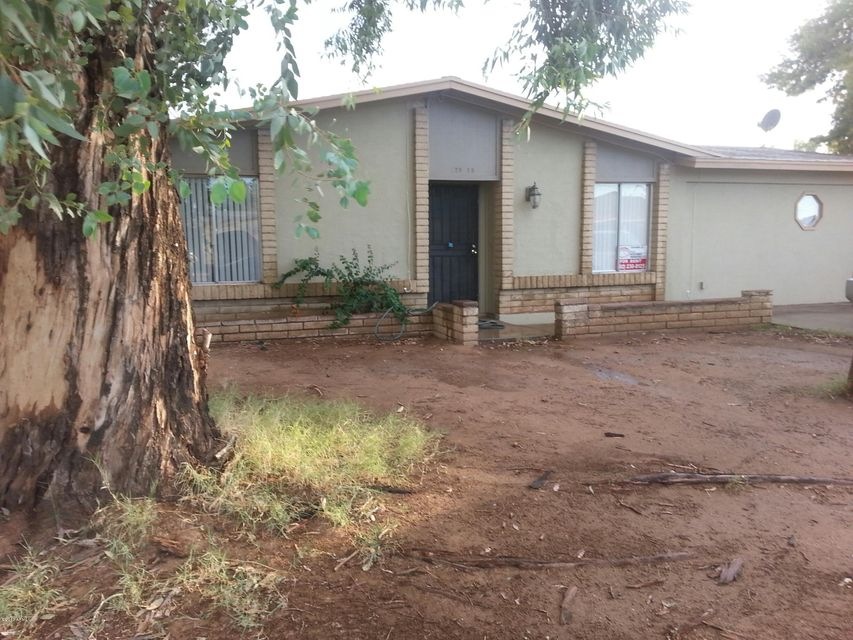 7015 Front Shade Tree