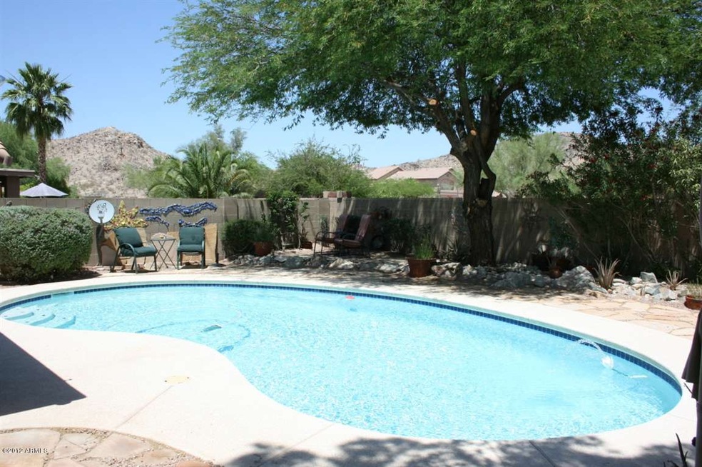 Backyard 3