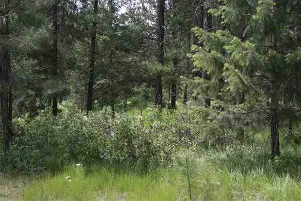 Lot 18 Hogans Way, Chewelah, WA 99109 - photo 1