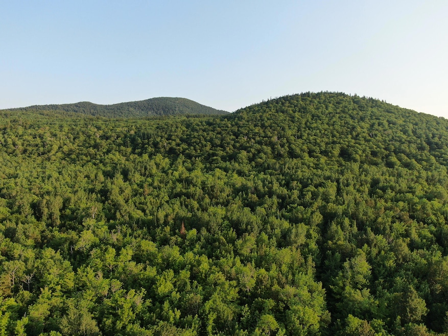 M8L4 Mountain Rd, Mount Chase, ME 04765 - photo 1