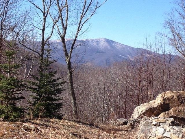 Additional View