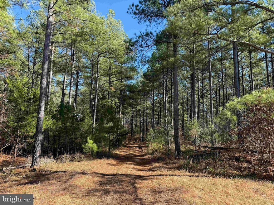 0, Arvonia, VA 23004 - photo 1