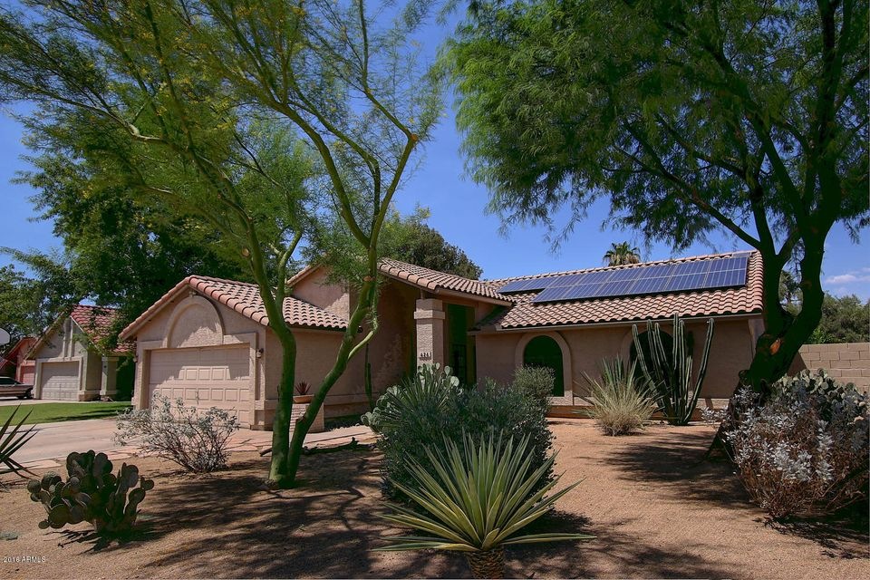 Mature Landscaping!