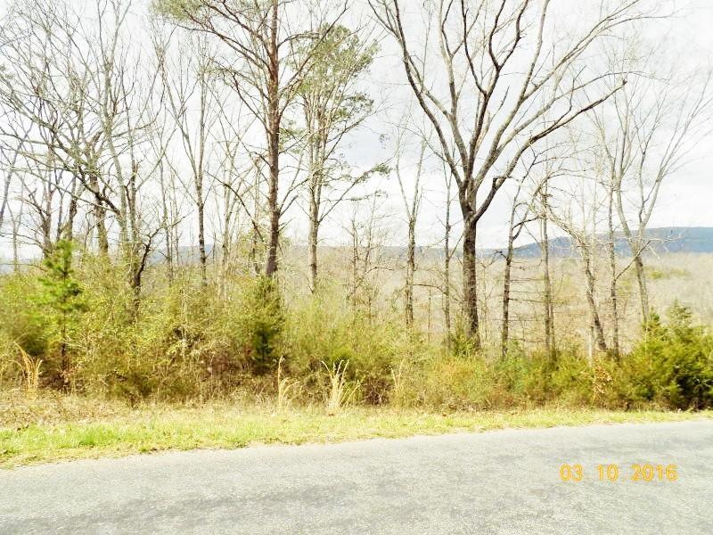 Farmington Lane