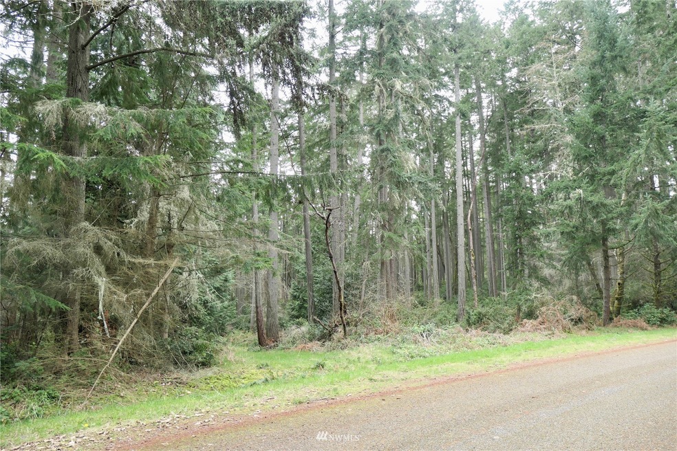 11408 Admiralty Way, Anderson Island, WA 98303 - photo 1