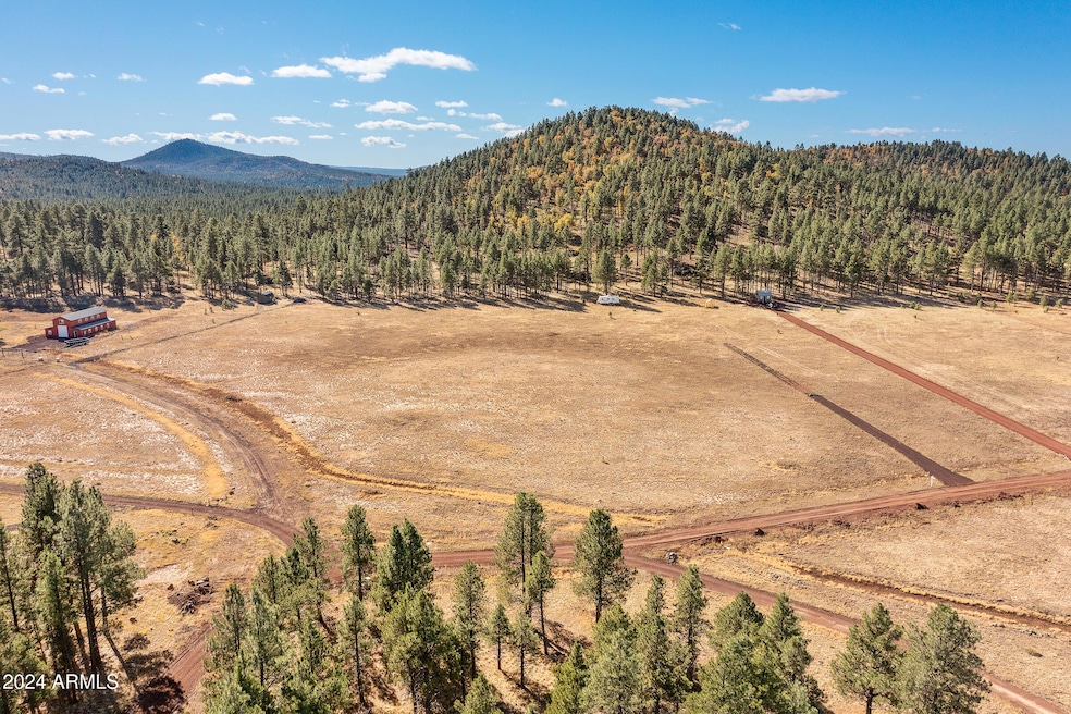 5 Acre Lot