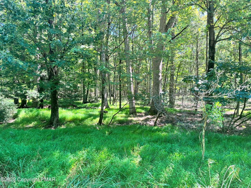 Lot A69 Bluebell Ln, Jim Thorpe, PA 18229 - photo 1