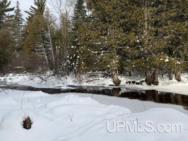 N7228 Rock River Rd, Deerton, MI 49822 - photo 1