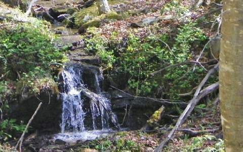 160AC Fielder Rd, Ellijay, GA 30540 - photo 1