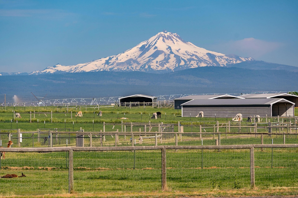 Shelters with veiw of mt jefferson orego