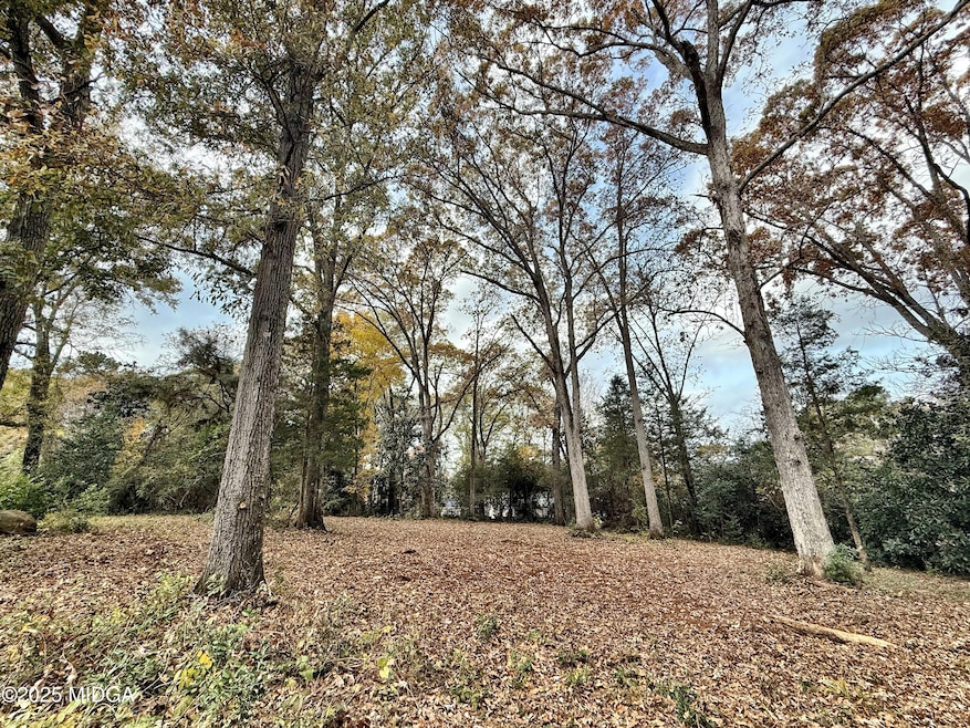 0 S Lee St, Forsyth, GA 31029 - photo 1