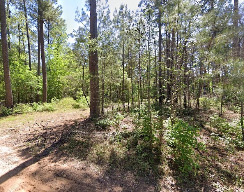 Joe Myers Rd, Livingston, TX 77351 - photo 1