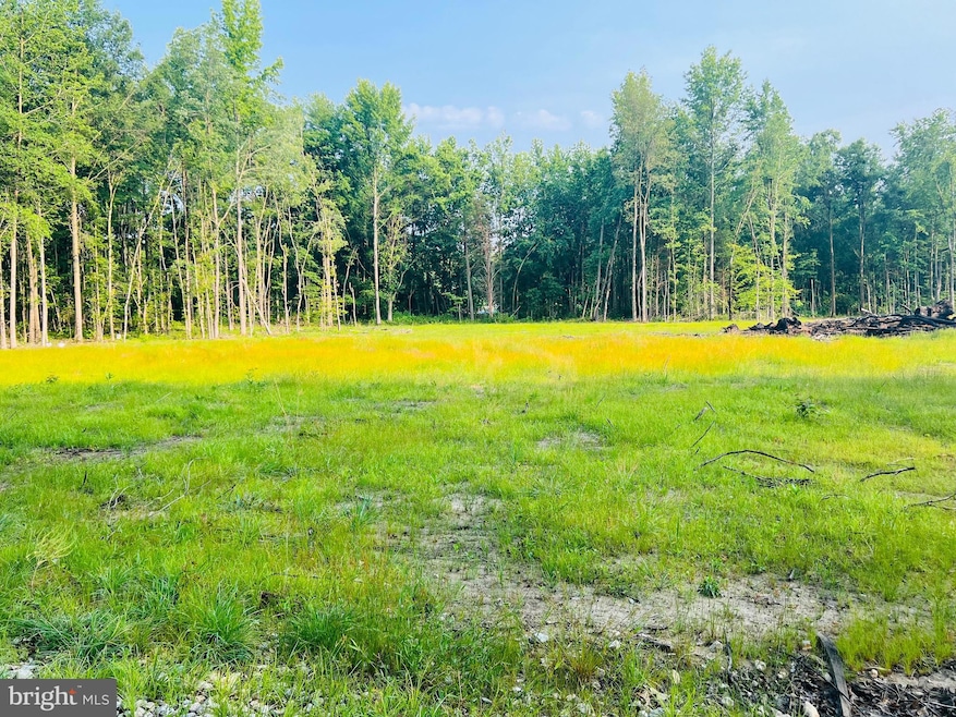 2 Downs Chapel Rd, Clayton, DE 19938 - photo 1