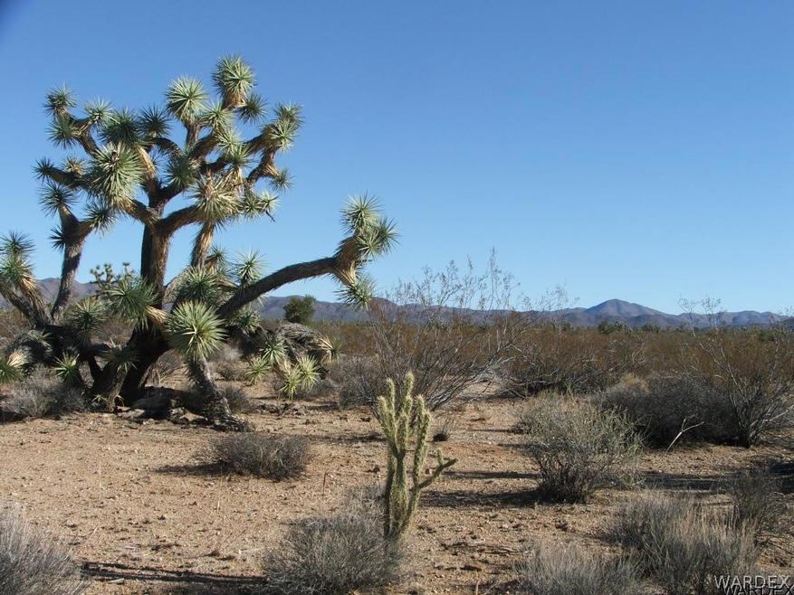 Par 2074 Rawhide Rd, Yucca, AZ 86438 - photo 1