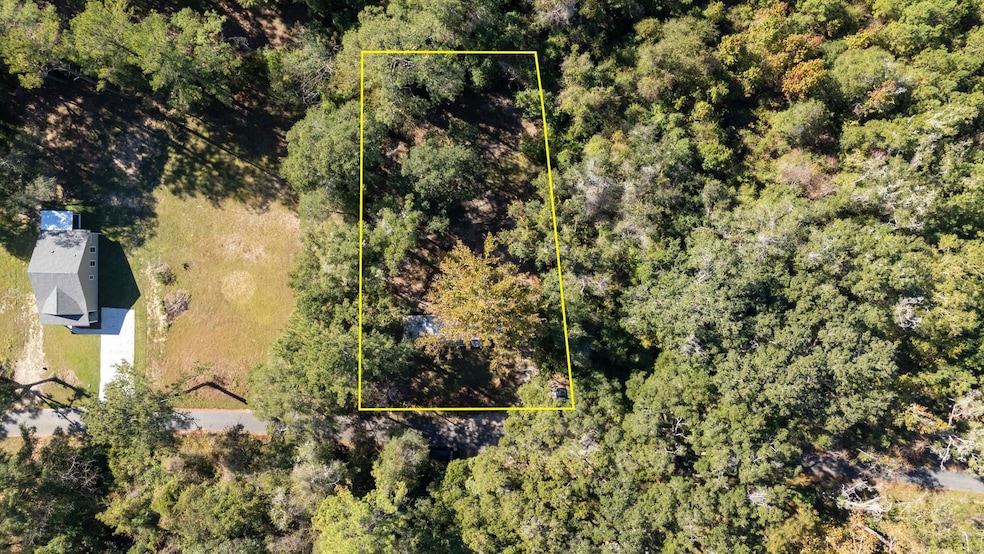 159 W Notre Dame St, Monticello, FL 32344 - photo 1