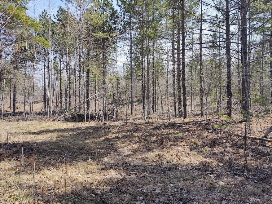 Miller - camping site