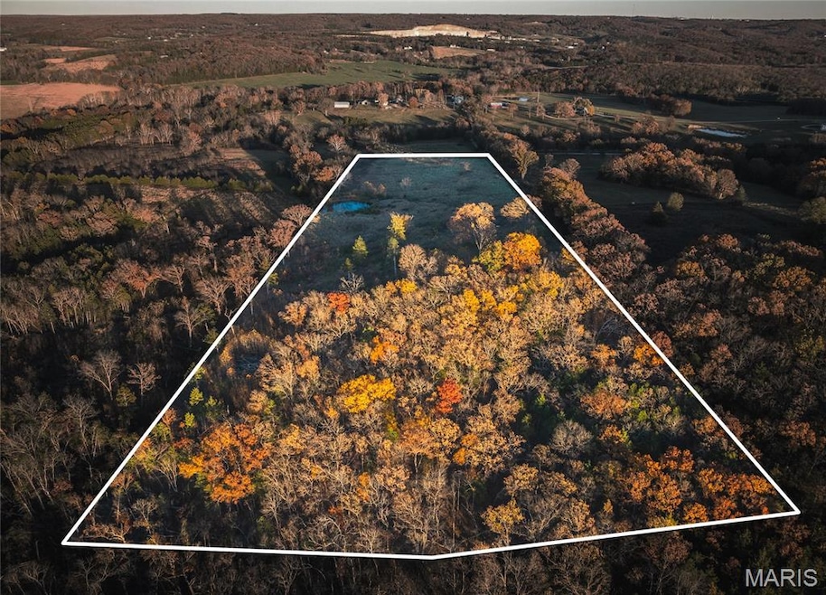 Aerial overview of property's location featuring a forest and property boundaries highlighted