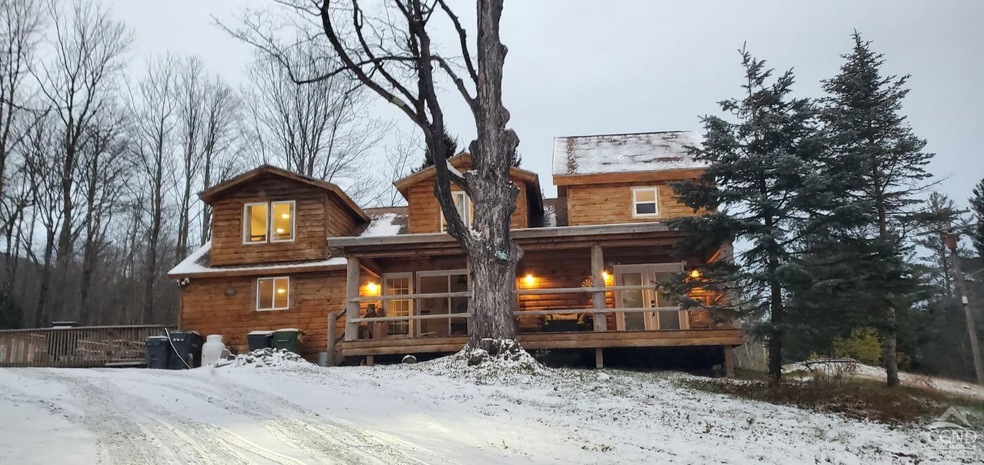 35 Ski Bowl Rd, Hunter, NY 12442 - photo 1