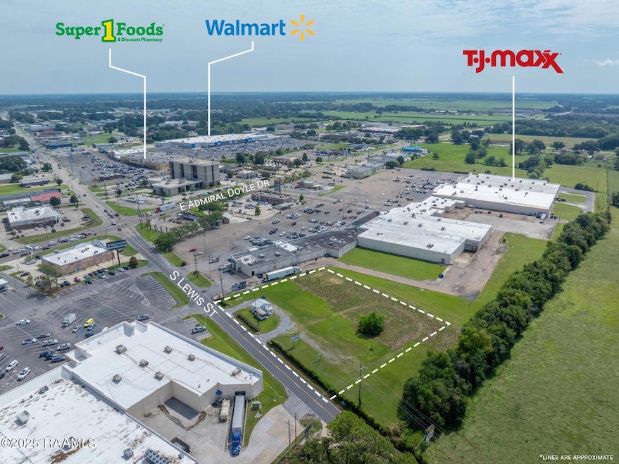 1503 S Lewis St, New Iberia, LA 70560 - photo 1