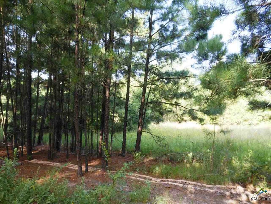 2614 Roy Rd, Tyler, TX 75707 - photo 1