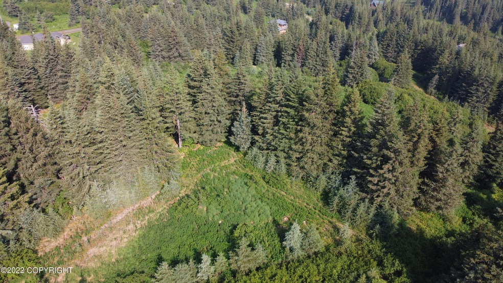 DJI_0799