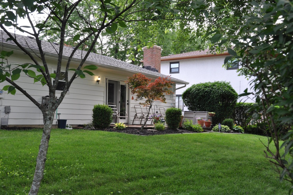Exterior Back Yard