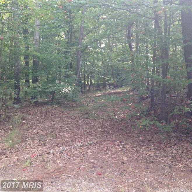 0 Ruther Glen Rd unit 1000399731, Caroline, VA 22546 - photo 1