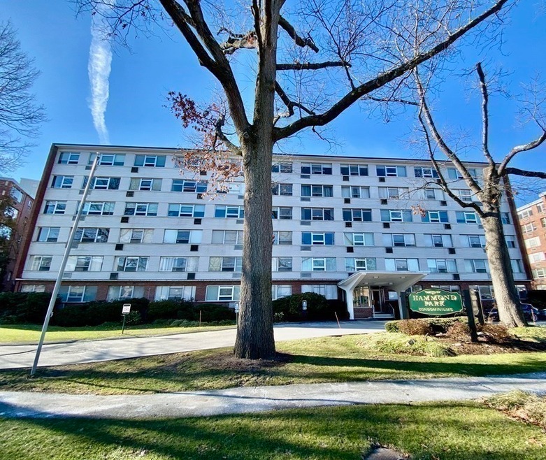 Hammond Park Condominiums unit 304, Chestnut Hill, MA 02467 - photo 1