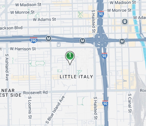 818 S Miller St, Chicago, IL 60607 - photo 1