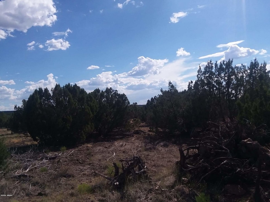 LOT G Powells Ln, Show Low, AZ 85901 - photo 1