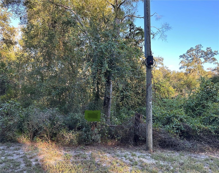 OOO SE 923rd St, Old Town, FL 32680 - photo 1