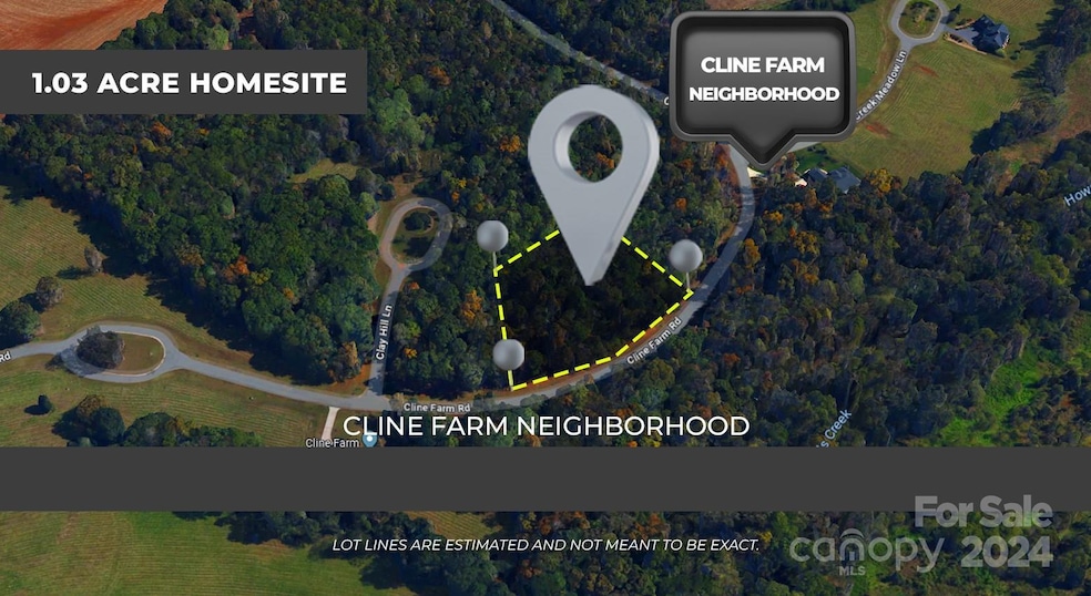 Lot 9 Cline Farm Rd, Lincolnton, NC 28092 - photo 1