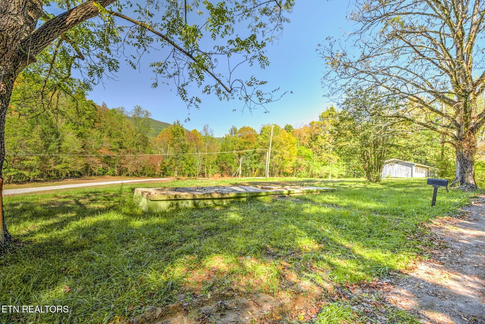 1446 Cove Ln, Oliver Springs, TN 37840 - photo 1