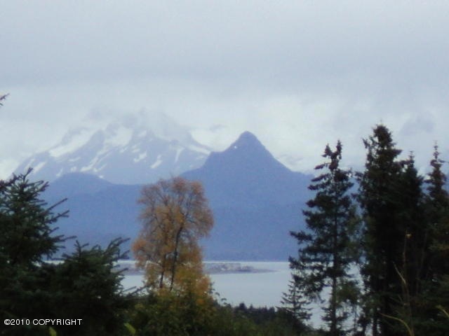 KACHEMAK BAY