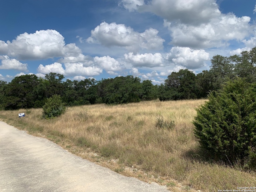 20124 High Bluff Rd, Helotes, TX 78023 - photo 1