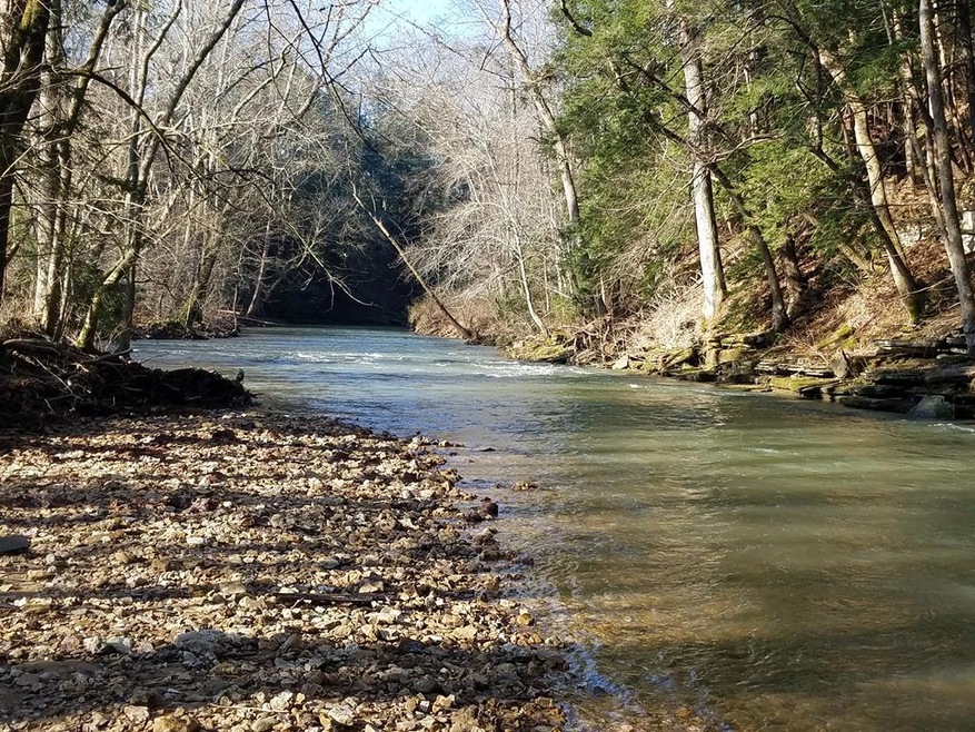 204 AC. Tommy Dodson Hwy, Cookeville, TN 38506 - photo 1