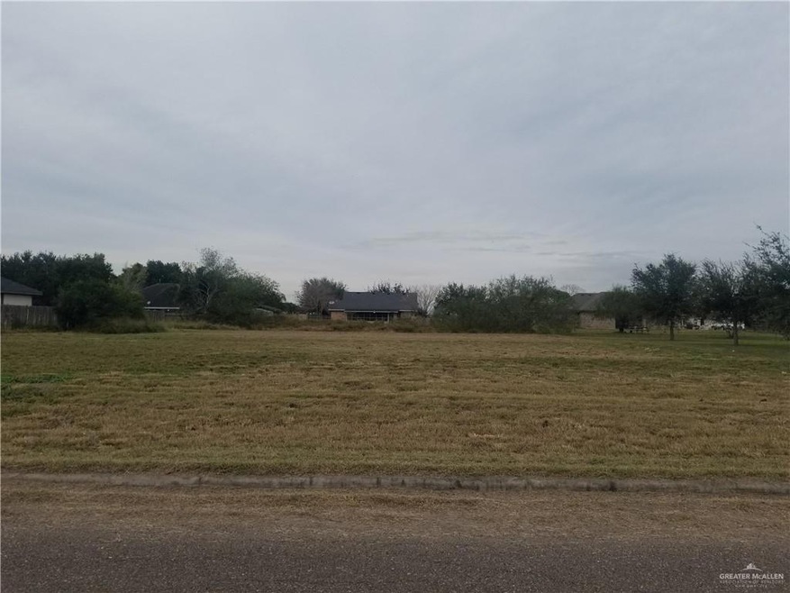 2902 Mis Padres Dr, Weslaco, TX 78599 - photo 1