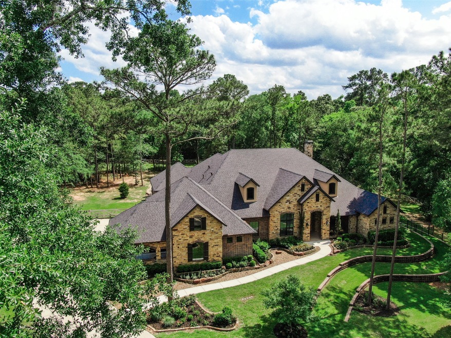 19302 Chateau Ridge Ct, Tomball, TX 77377 - photo 1