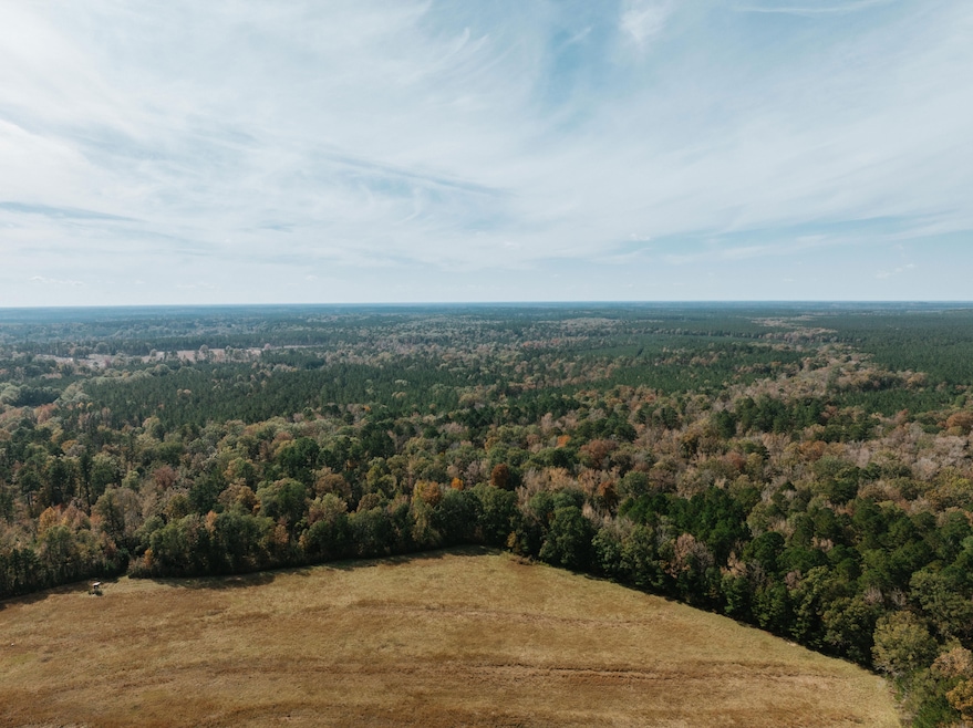 000 County Rd 81, Tinsman, AR 71631 - photo 1