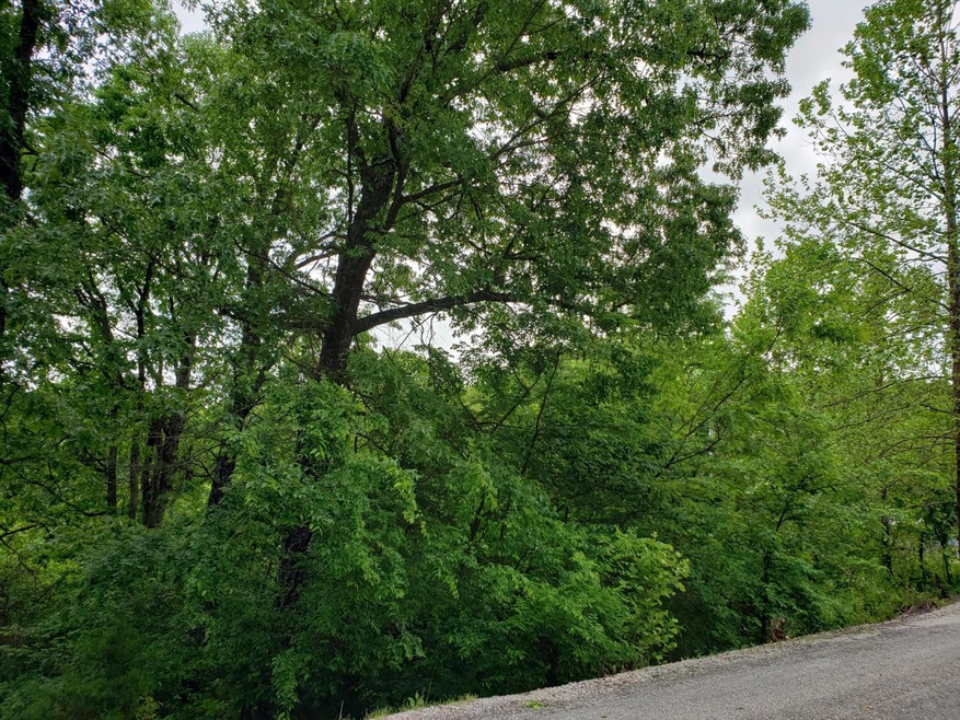 000 Oak Harbor Estates Joe Bald R, Kimberling City, MO 65686 - photo 1