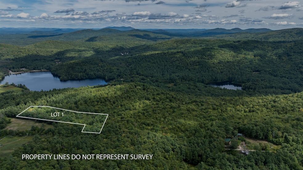 TBD Youngs Rd, Eaton, NH 03849 - photo 1