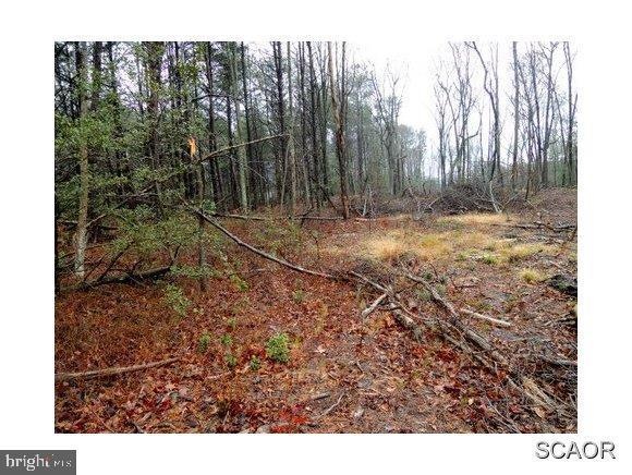 18582 Asketum Branch Rd, Georgetown, DE 19947 - photo 1