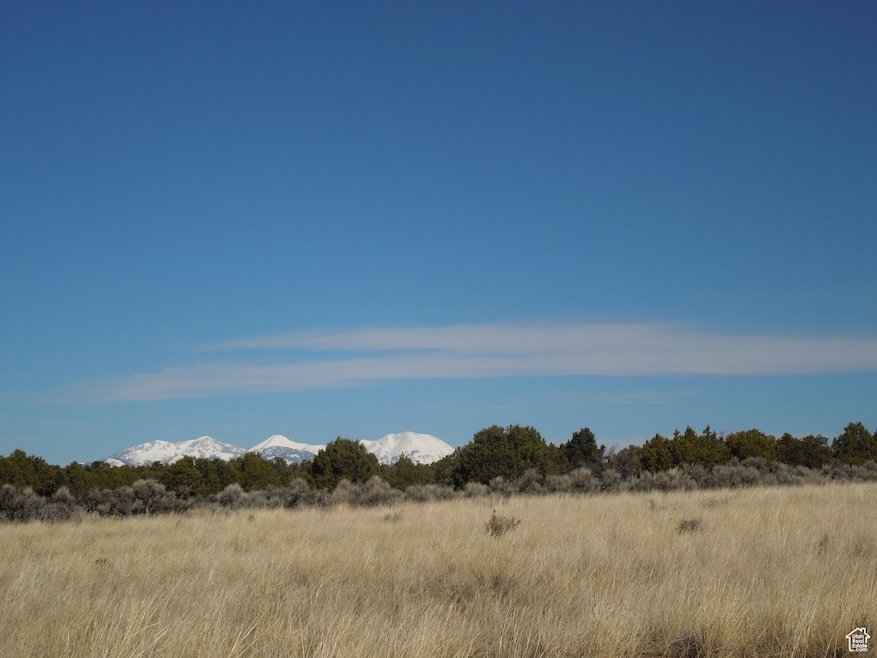 20 W Sunrise Country Rd unit 20, Monticello, UT 84535 - photo 1