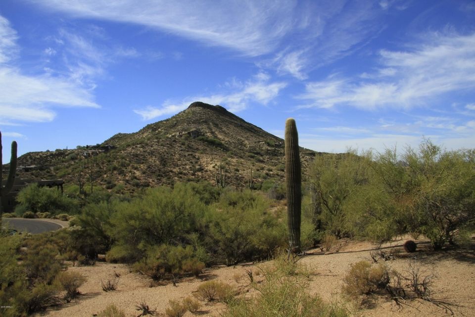 View of Lone Mountain