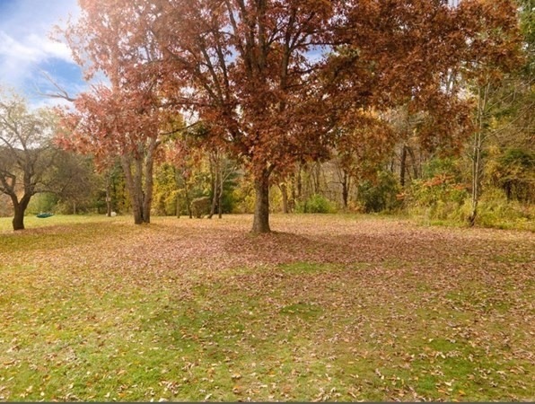 236 Burlingame Rd unit D, Charlton, MA 01507 - photo 1