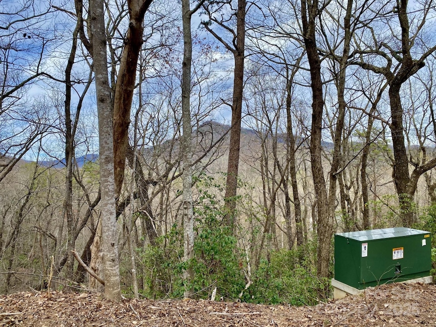 0 Rumbling Bald Rd unit 28 CAR4246158, Lake Lure, NC 28746 - photo 1